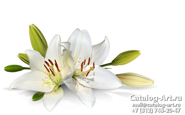White lilies 21